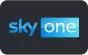 logo_skyone
